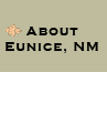 About Eunice, NM