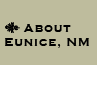 About Eunice, NM