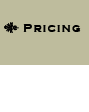 Pricing