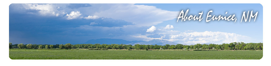 About Eunice, NM